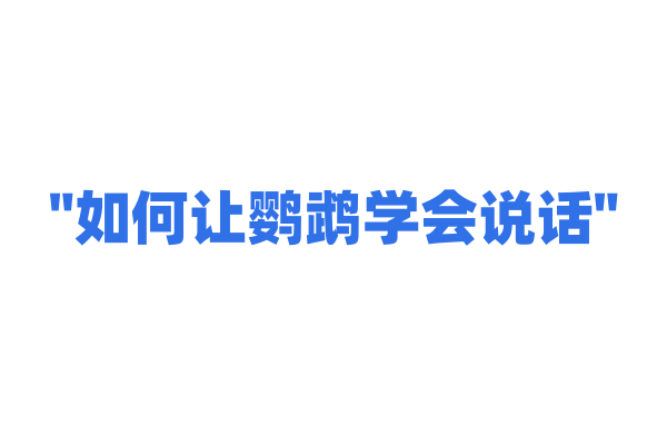 "如何让鹦鹉学会说话"